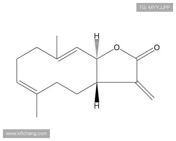 分析k8凯发的运营策略及其吸引用户的主要手段